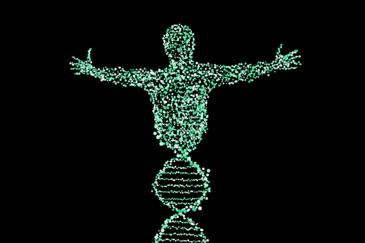 Human genetics