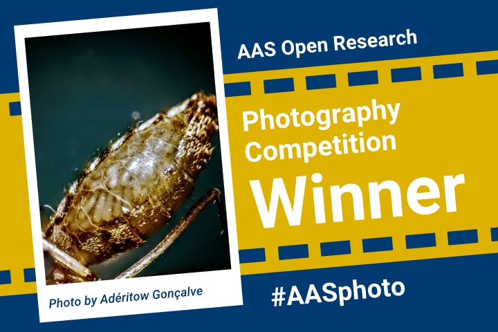 AAS photography competition winner feature image